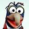 Gonzo