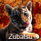 Zubatsu's Avatar