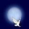 Moonowl's Avatar