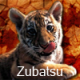 Zubatsu's Avatar